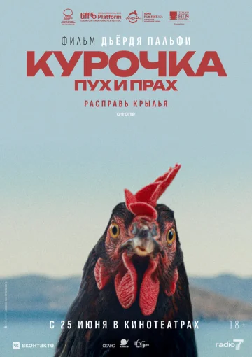 Курочка. Пух и прах